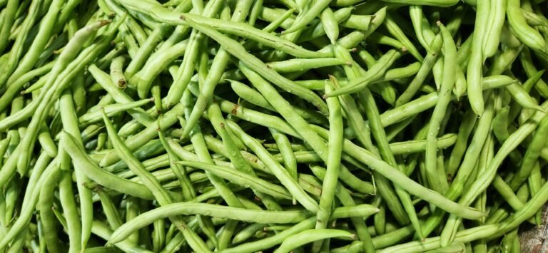french beans