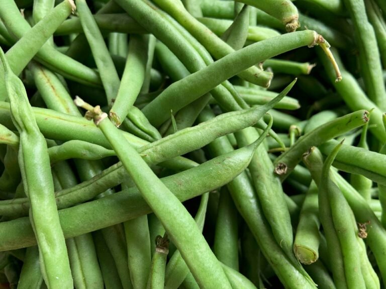 french beans