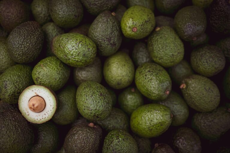 avocados (fuerte & hass)