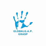 grasp global gap removebg preview