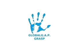 grasp global gap removebg preview