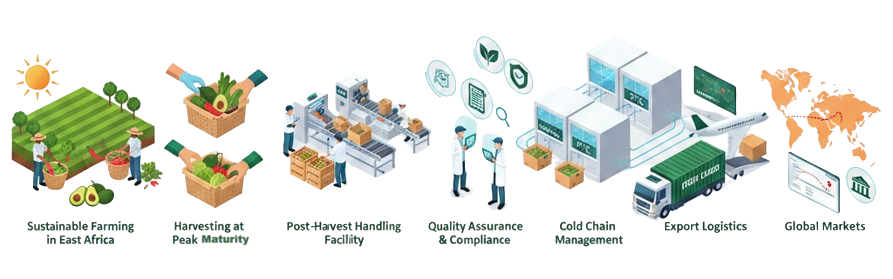value chain processes removebg preview
