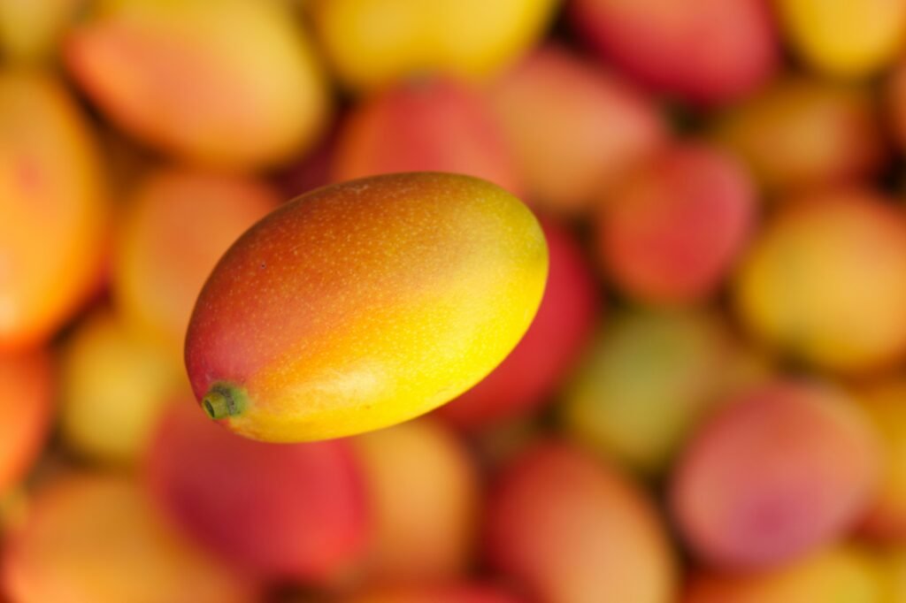 apple mangoes 2